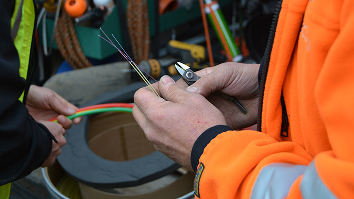 Hand som håller i en fiberkabel.